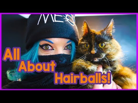 What You Need to Know About Hairballs! Why Does My Cat Cough Up Hairballs and What to Do About Them!