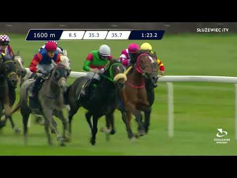 08.10.2022 - (Dzień 37; Gonitwa 2)