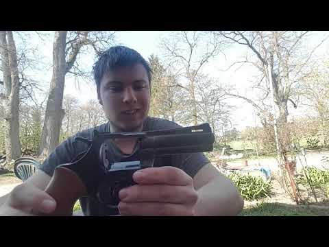 Schreckschusswaffen, Was muss ich für die Jagdschein Prüfung wissen?