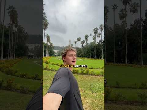 Americans exploring Algiers, Algeria 🇩🇿 (P2)  #algeriatravel #algeria #algiers #backpacking