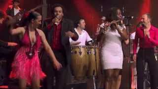Download lagu Mucho Gusto   Guantanamera mp3