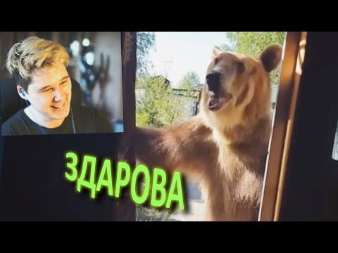 УЛЫБНУЛИСЬ ИЛИ ЗАСМЕЯЛИСЬ ПРОИГРАЛИ - ЛУЧШИЕ ПРИКОЛЫ ПОПРОБУЙ ЗАСМЕЯТЬСЯ ЧЕЛЛЕНДЖ ЗАСМЕЯЛСЯ ПРОИГРАЛ