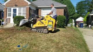 Clearing Out an Overgrown Yard!