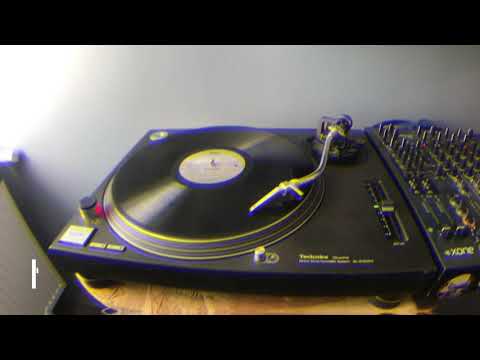 Dolfeels - Rodaina / Riss Records