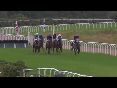 Lopp 8, 19 augusti 2018 - Göteborg