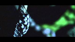 LONG DISTANCE CALLING - Into The Black Wide Open (OFFICIAL VIDEO)