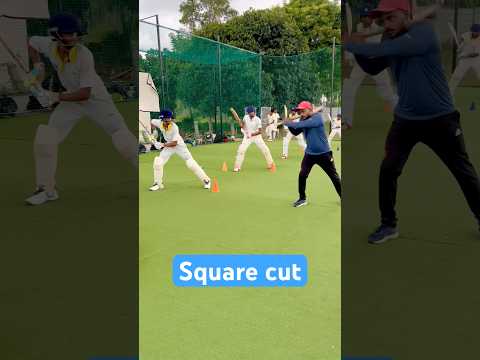 Drills for square cut shot #shorts #youtubeshorts #cricketcoaching