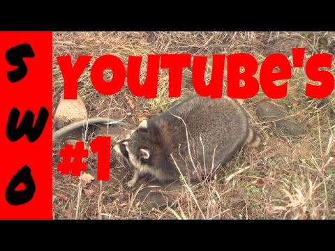 download lagu mp3 mp4 Sam Wood, download lagu Sam Wood gratis, unduh video klip Sam Wood