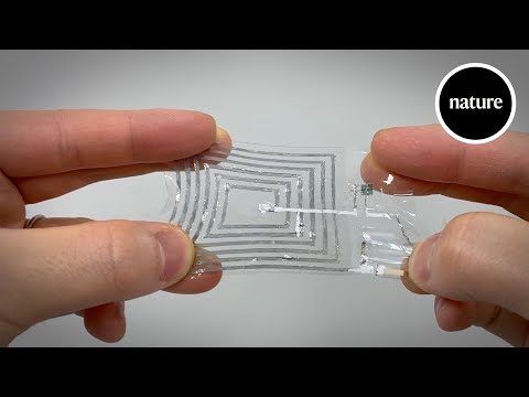 Interview: Naoji Matsuhisa, Keio Univ. High-frequency and intrinsically stretchable polymer diodes