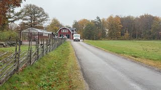 Camião furgão < 3.5t Ford Transit 350 | Imagem 4 - Autoline