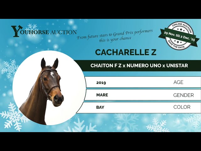 Cacharelle Z showvideo