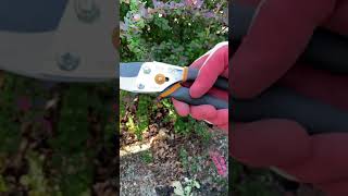 Easy to use bypass Fiskars pruners