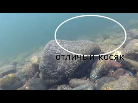 ТРИ ДНЯ НА ТАЕЖНОЙ РЕКЕ удачный день (подводная съемка)