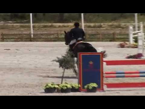 Quoncert Comporta 1,35m 2nd day