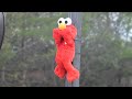 Elmo murhataan julmalla tavalla. :(