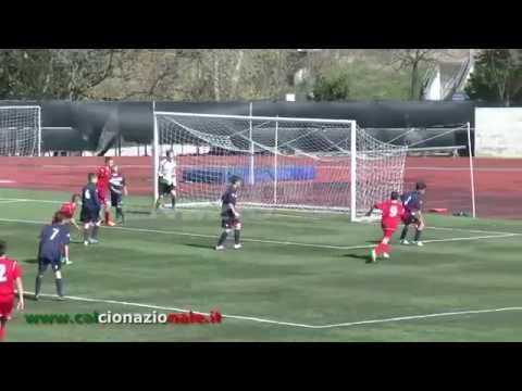 34° TORNEO PECCI: N. Tor Tre Teste - Rimini 7-0