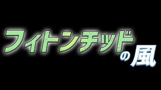 フィトンチッドの風