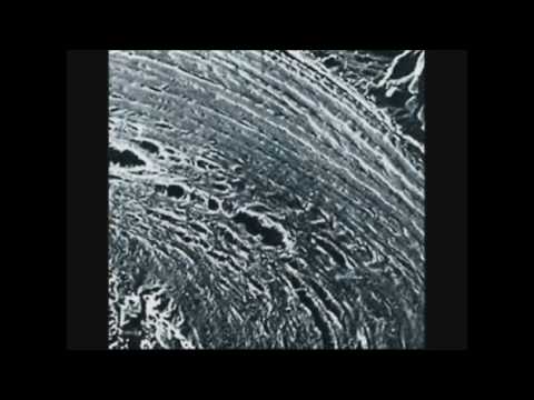 The Science of Disc Problems (Part 1 of 2)