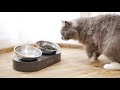Миска для тварин Petkit Fresh Nano Metal 15 Adjustable Cat Feeding Bowl (P5201) 6