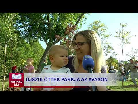 Videó előnézet