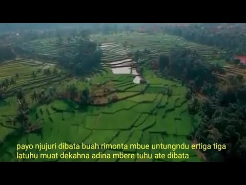 Harto Tarigan - kijang maba senanggel