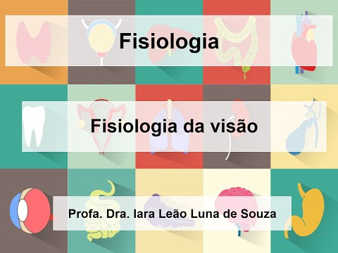 Fisiologia da visão - parte 1