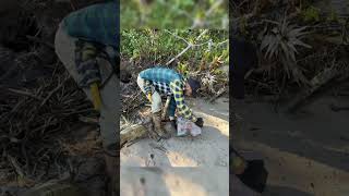 fortuna do tesouro no baú enterrado na ilha deserta