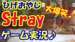 ゲーム実況!爆笑必須♪人気猫ゲームStrayやってみた【ひげおやじ切り抜き】