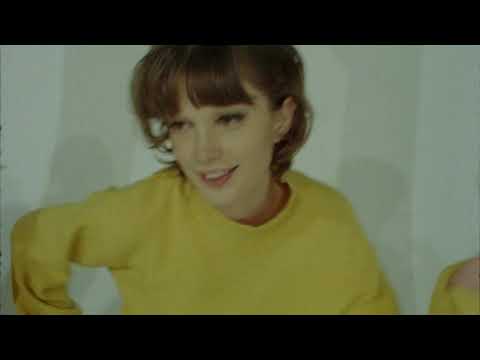 The Buttertones - Jazzhound (Official Video)