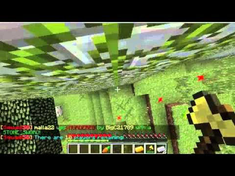 Minecraft hunger games finnish let's play osa/58 Kirves ja kalsarit