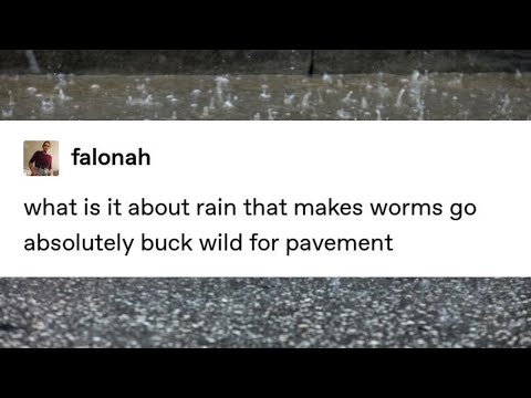 Pavement worms in rain