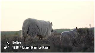 Download lagu Boléro / Ravel mp3