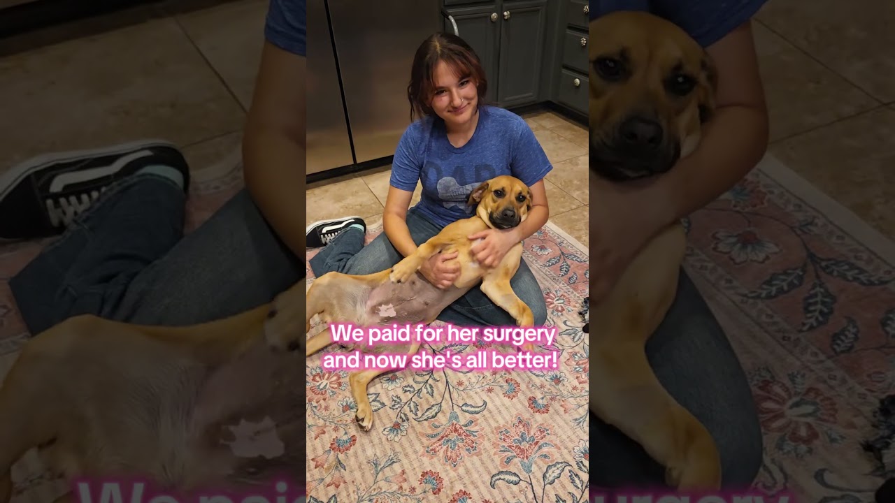 Enlarge Himiko/Rooster, an adopted mixed breed in Murrieta, CA video 2/5