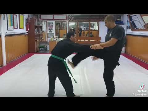 self defense dju su kung fu