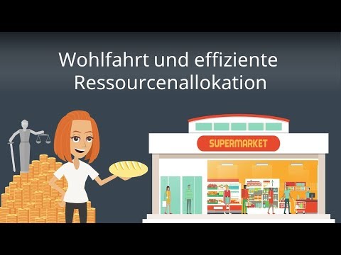 Ökonomische Wohlfahrt und Ressourcenallokation - Wohlfahrtstheorie einfach erklärt
