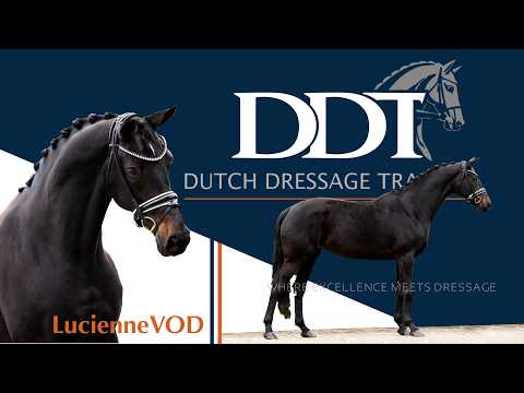 Lucienne V.O.D. conformation and street