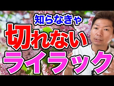 ライラックの葉採掘者との戦闘に成功する 庭の練習