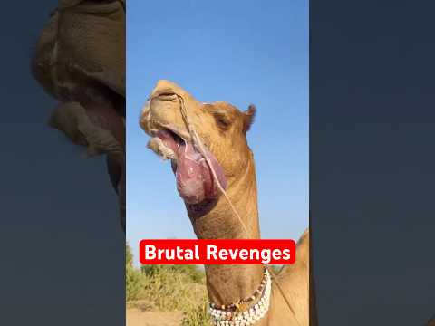 5 Animals That Did the Unexpected