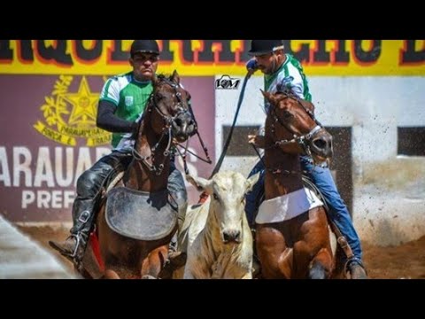 FERIADO DO VAQUEIRO-EDSON VIEIRA(VAQUEIRO MODERNO)