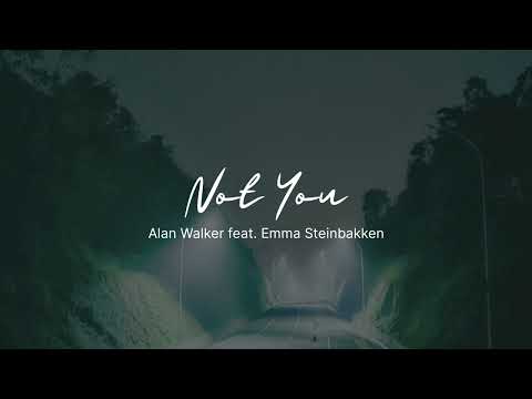 Not You - Alan Walker feat. Emma Steinbaken ( slowed +reverb )