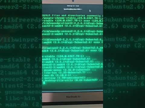Fallout themed terminal for Linux.