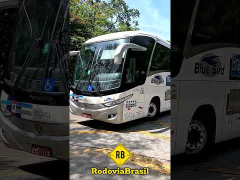ÁGUAS DE LINDÓIA X SÃO PAULO VIA BRAGANÇA NO TIETÊ #shorts #rodoviabrasil #saopaulo #onibus #sp