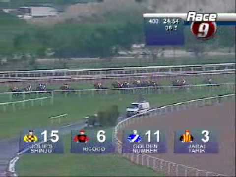 Fantastic 4yo JOLIE'S SHINJU