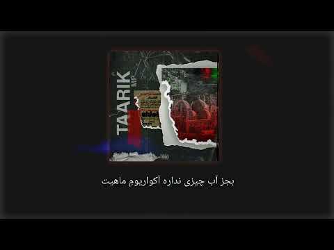 Taarik - MP - (Official Audio) LBR Record