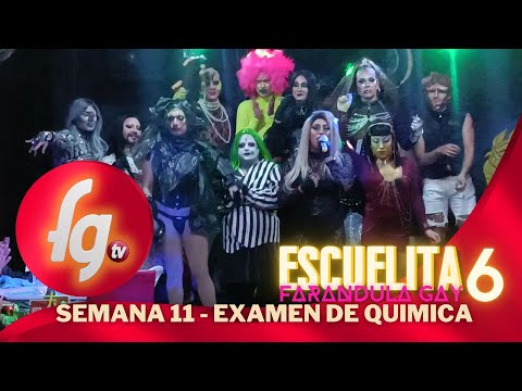 ESCUELITA FARANDULA GAY / TEMP 06 / CAP 11 - CANAL FARANDULA GAY