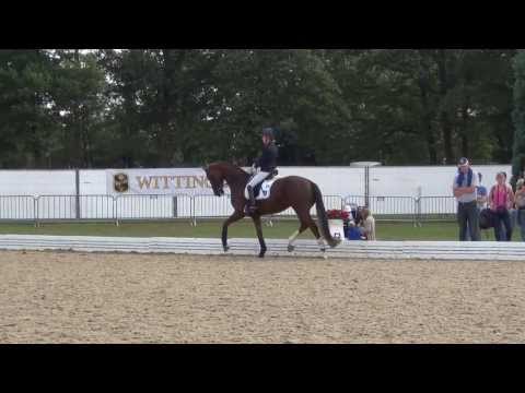 Damon's Delorange & Helen Langehanenberg WM Verden 2013 Abreiteplatz