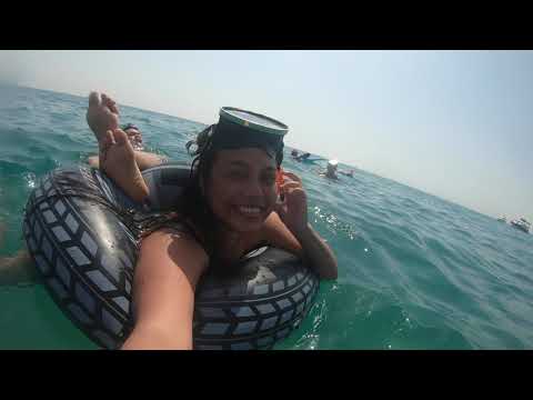 Eté 2021 - Collioure, Port Vendres, Leucate