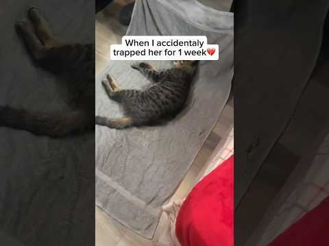 I am so sorry baby…🥺💔