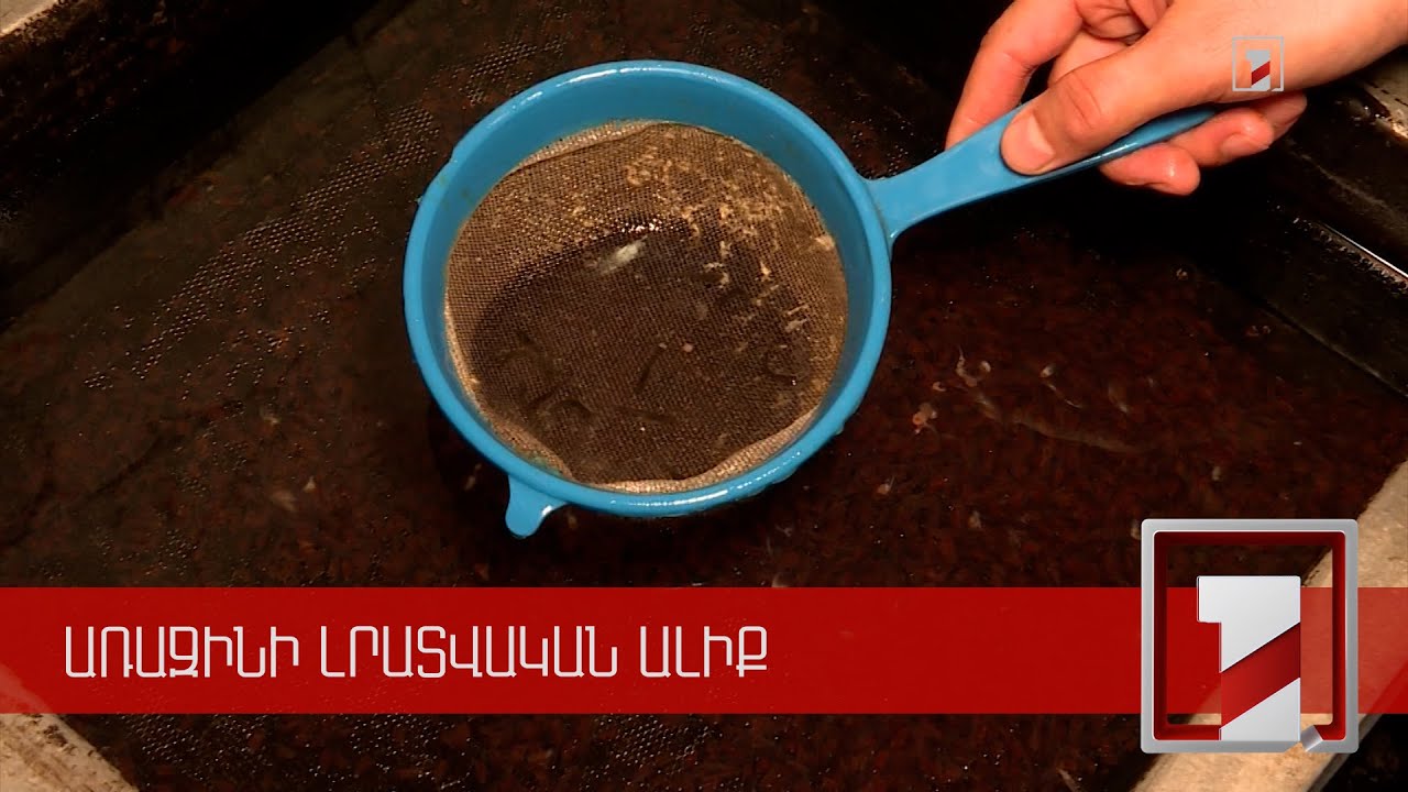 Երկար փորձարկումներից հետո Հայաստանում ձկնաբույծները ստացել են մանրաձկան արագաճ ու միասեռ տեսակ