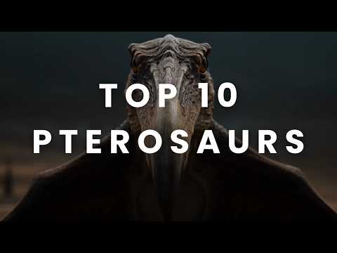 Top 10 Most Amazing Pterosaurs of All Time! Giant Flying Reptiles (4K)